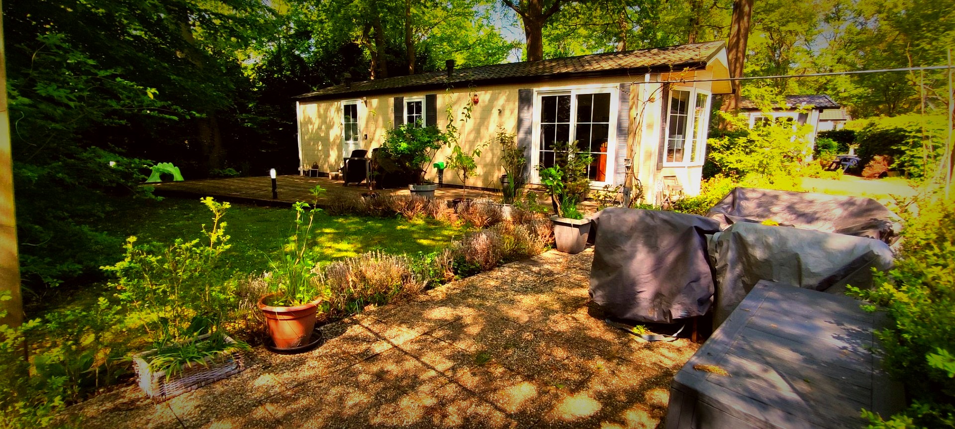Boshuisje – forest cottage Wageningen