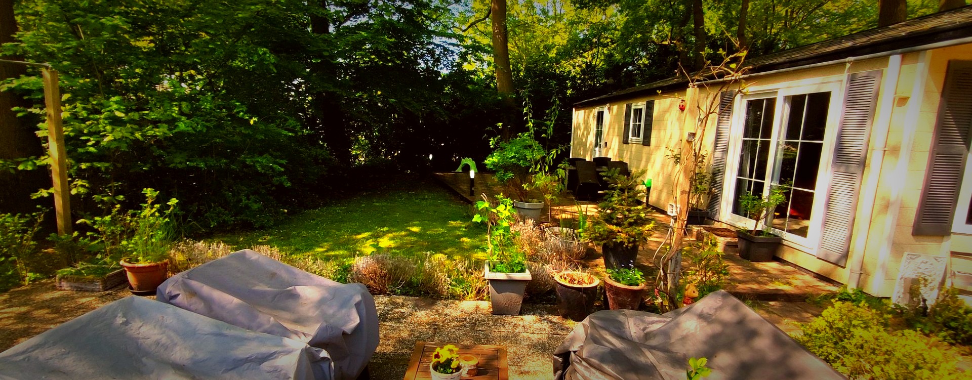 Boshuisjes – the forest cottage of Christopher and Zuzana, Wageningen